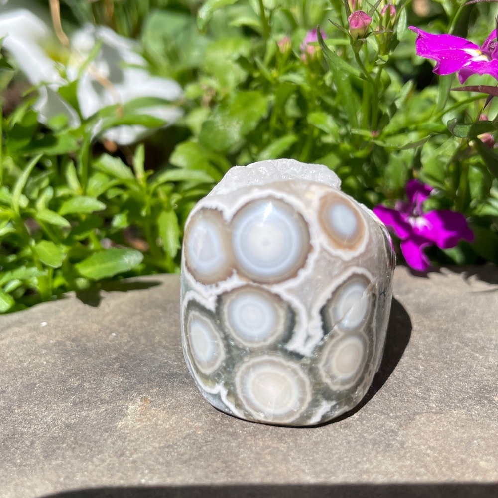 Ocean Jasper Mini Core